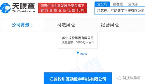 苏宁控股成立柠川互动数字公司，布局健身休闲与数字文化创意服务
