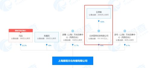 王思聪入股沉浸式游戏剧公司UMEPLAY 数字文化创意内容应用服务的新篇章